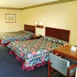 Regency Inn & Suites - Saint Augustine St. Augustine Beach Rum bild